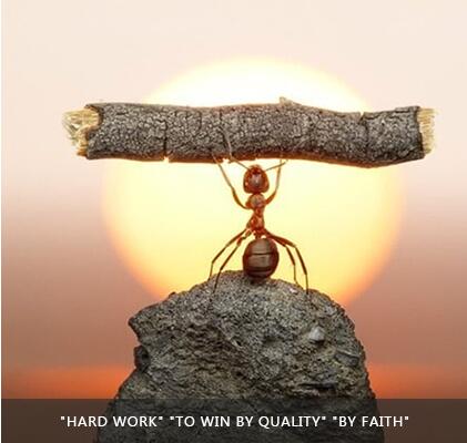 开云电竞(中国区) - 官方网站