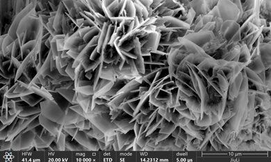 开云电竞(中国区) - 官方网站